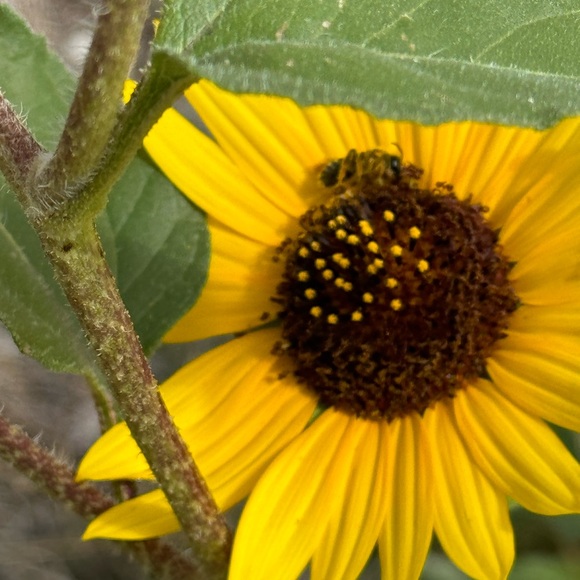 Meet your Posher, Beth - Picture 1 of 1